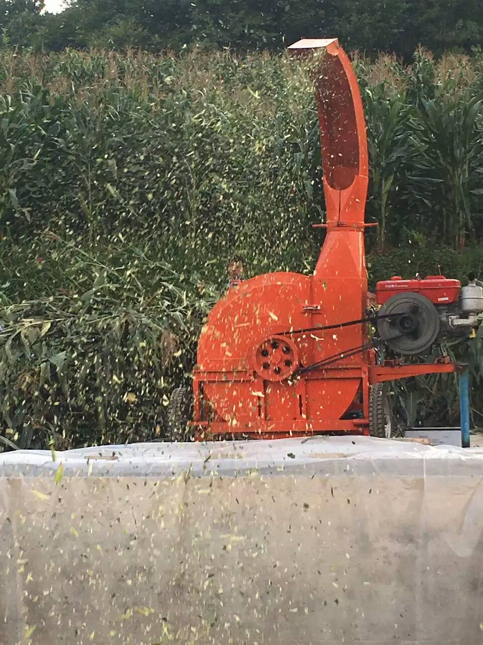內蒙古大型10噸鍘草機揉絲機視頻多少錢一臺？